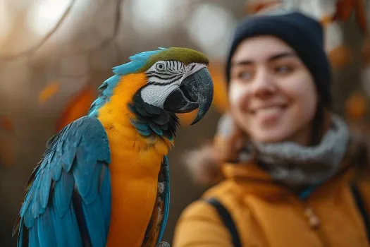 鹦鹉的嗉囊有什么功能? 鹦鹉的嗉囊有什么功能?