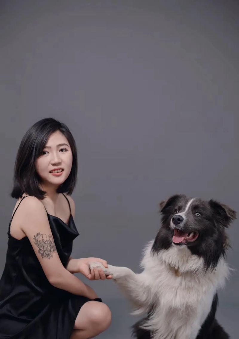 边牧蓝白配对全攻略｜探索混血犬的多样魅力