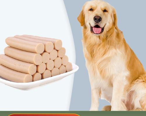 2个月金毛犬饮食安排全攻略｜科学喂养指南