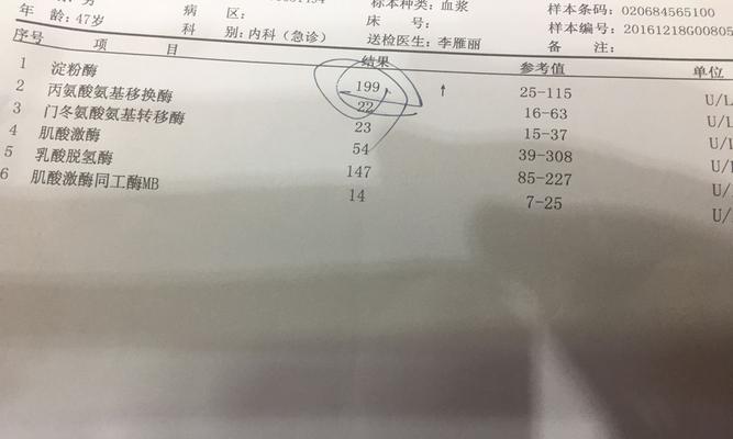 狗狗淀粉酶高饮食选择｜健康营养全攻略