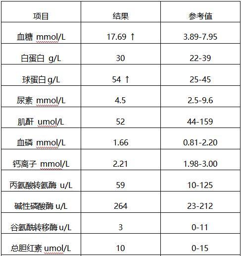 狗狗淀粉酶高饮食选择｜健康营养全攻略