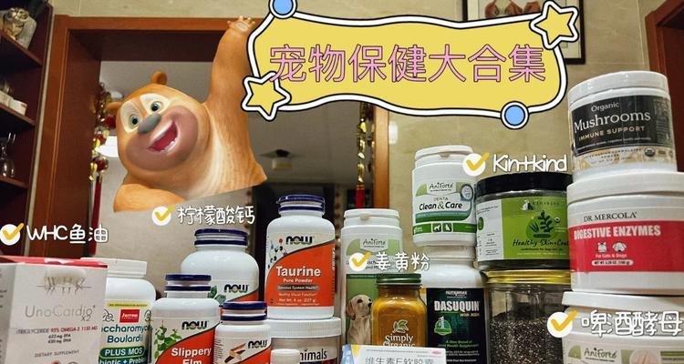 宠物老龄营养补充指南｜健康长寿关键