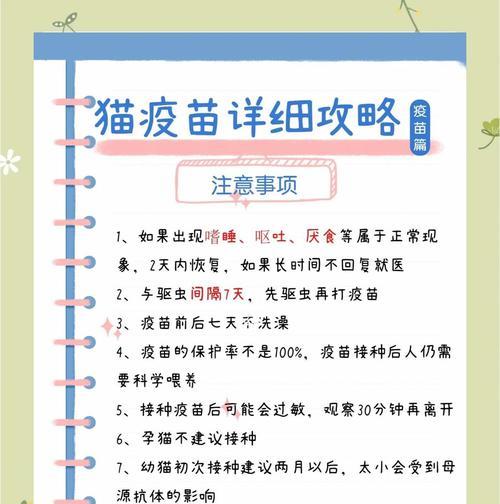 猫咪牙齿健康与疫苗保护全攻略｜宠物养护核心技巧