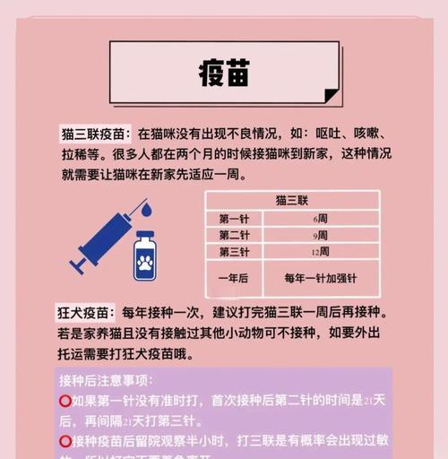 猫咪牙齿健康与疫苗保护全攻略｜宠物养护核心技巧