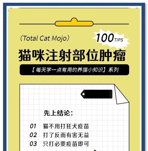 猫咪牙齿健康与疫苗保护全攻略｜宠物养护核心技巧