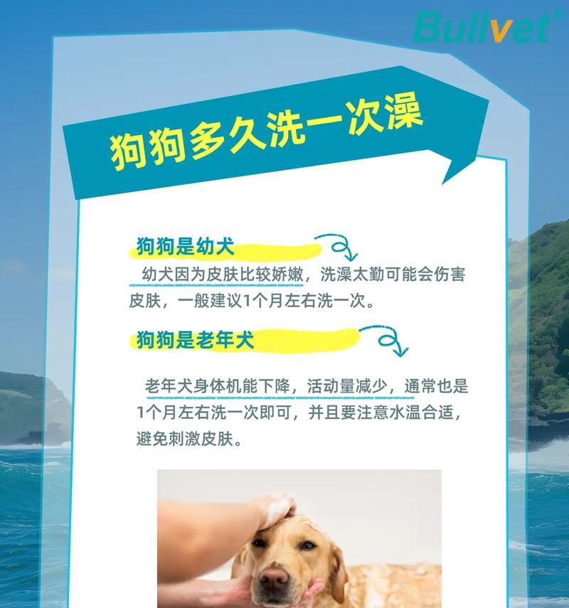 狗狗喷皮肤药水舔食时间全攻略｜科学用药不盲目