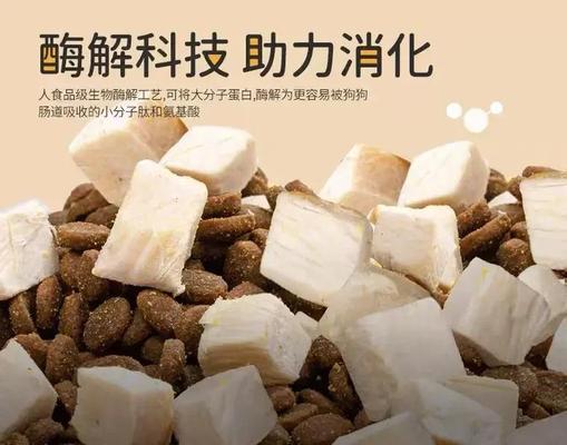 高蛋白狗粮对犬类健康的重要性｜实用指南