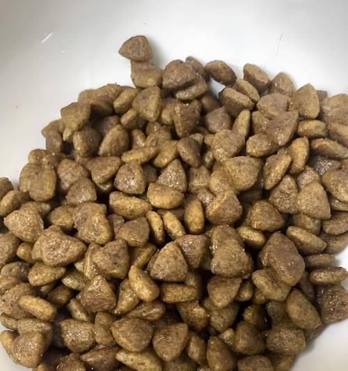 高蛋白狗粮对犬类健康的重要性｜实用指南