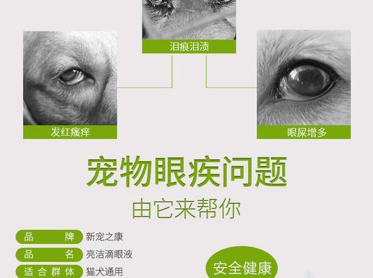 宠物洗眼液保质期多久｜使用注意事项全攻略