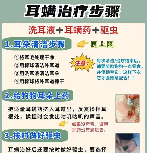 预防狗狗耳朵感染的有效方法｜宠物耳朵健康全攻略