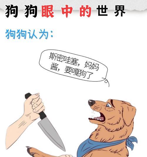 狗狗指甲修剪频率全攻略｜如何判断修剪时机