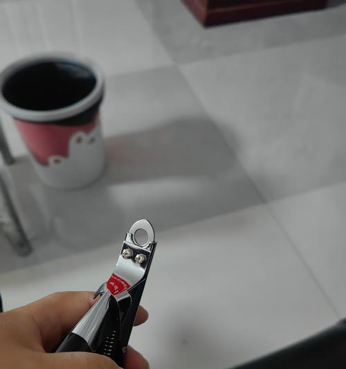 狗狗指甲修剪频率全攻略｜如何判断修剪时机