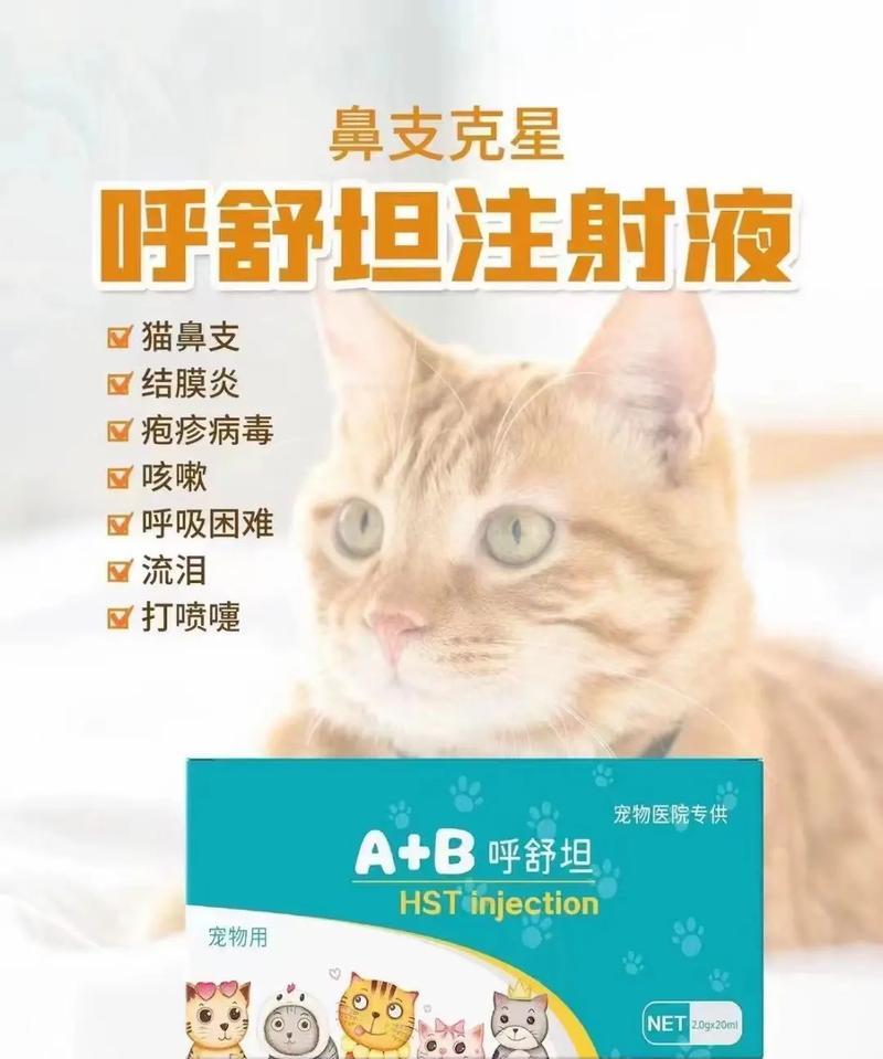 猫支原体感染全攻略｜预防与治疗关键要点