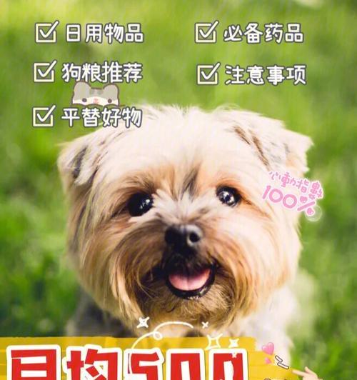 泰迪狗狗喂养指南｜不同阶段狗粮摄入量计算方法