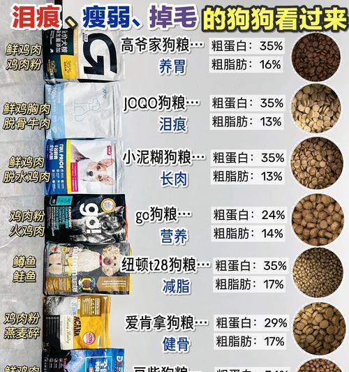 狗狗吃硬粮的最佳时机｜实用指南全攻略