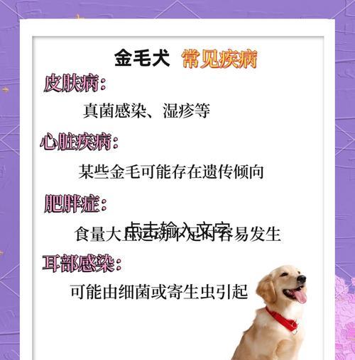 金毛配种后怀孕检测时机与方法全攻略｜宠物养护实用指南