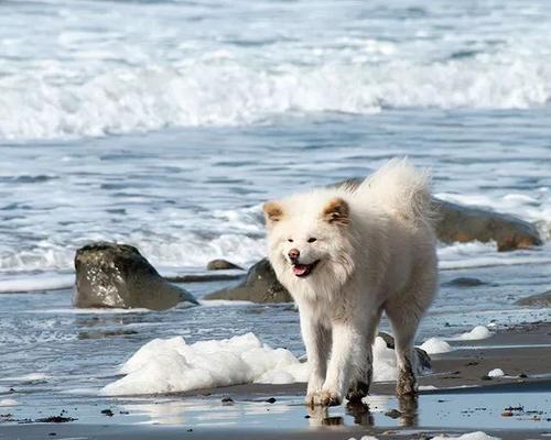 秋田之美｜探寻明星眼中的日本北部魅力全攻略