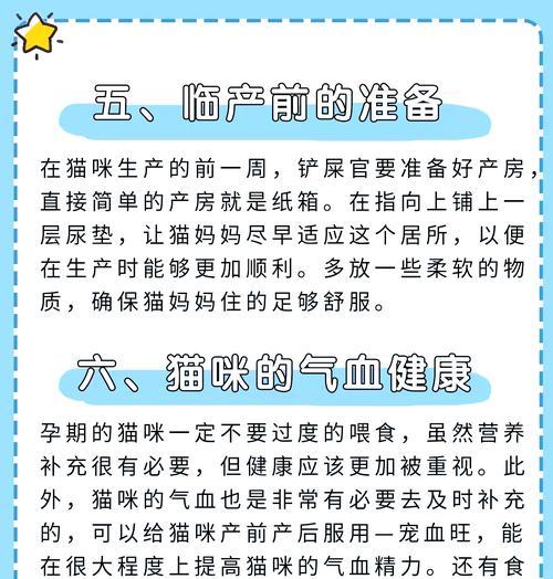 猫咪怀孕多久开始增加食量｜孕期饮食管理全攻略