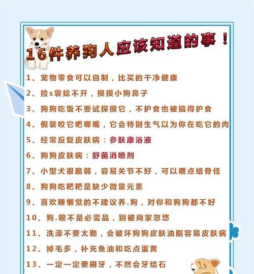 狗狗冷知识全攻略｜养狗人必知的50个秘密