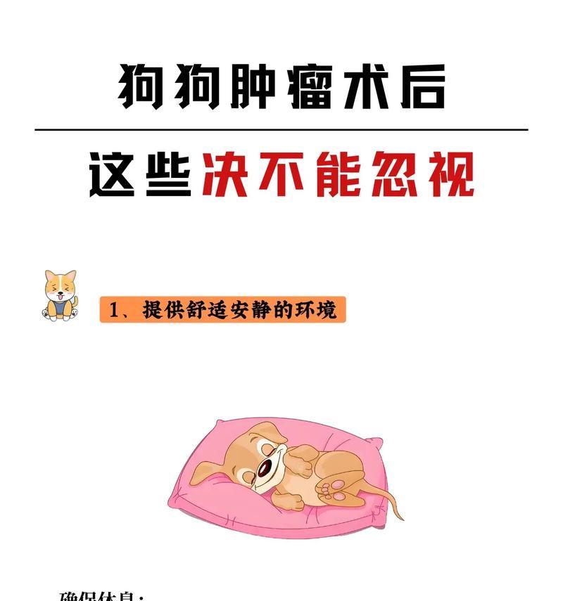 狗手术后康复时间及护理要点｜实用指南