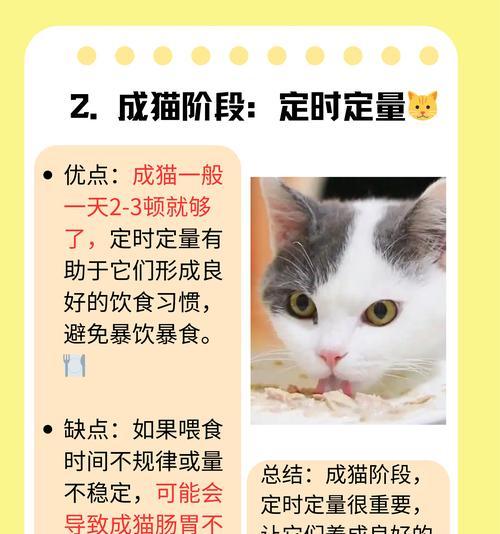 猫咪饮水习惯全攻略｜了解喝水需求与健康影响