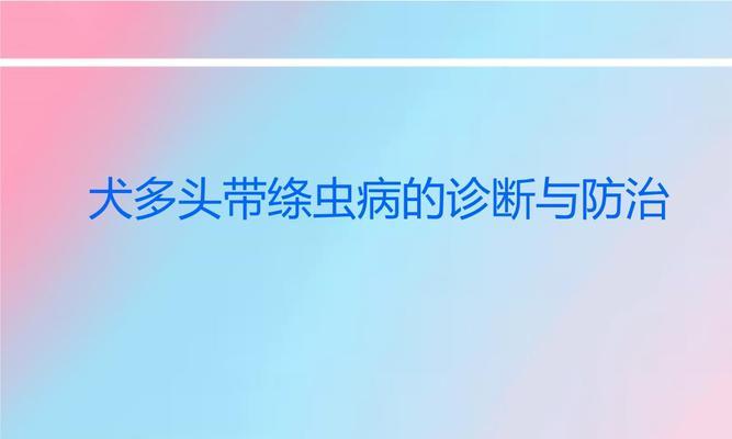 犬绦虫病症状与预防指南｜宠物健康守护全攻略