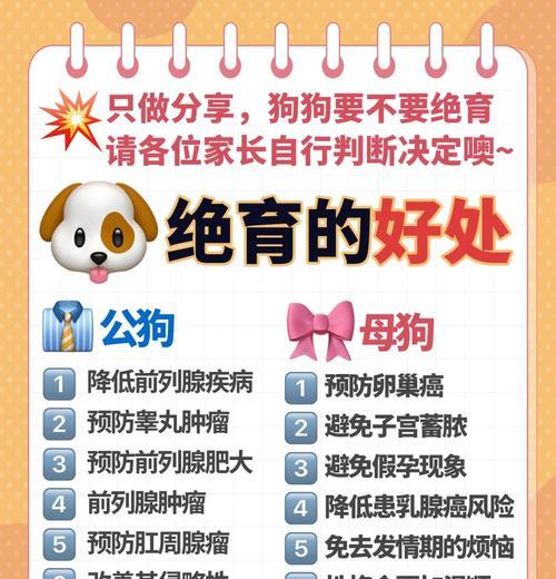 狗结扎手术恢复指南｜术后护理要点与注意事项全攻略