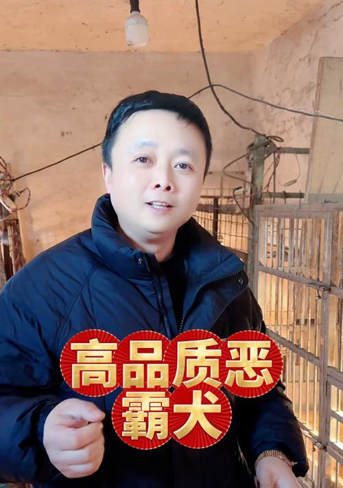 恶霸犬耳朵清洁全攻略｜定期护理预防耳部疾病