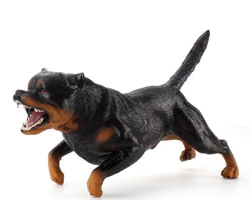 恶霸犬耳朵清洁全攻略｜定期护理预防耳部疾病