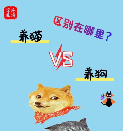 外地居住者宠物狗回家全攻略｜安全运输实用指南