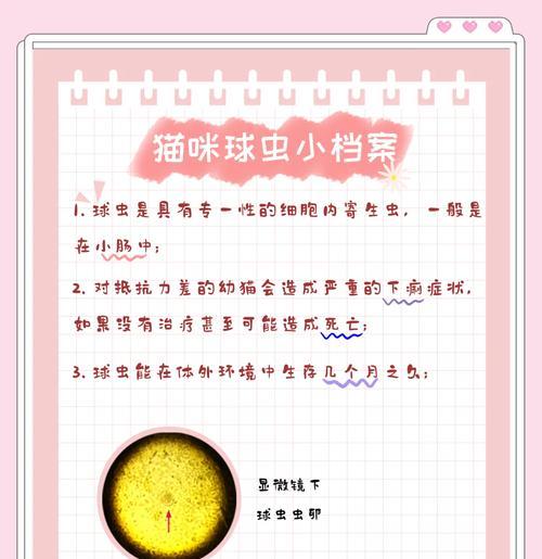 球虫病潜伏期与症状全攻略｜了解感染关键信息