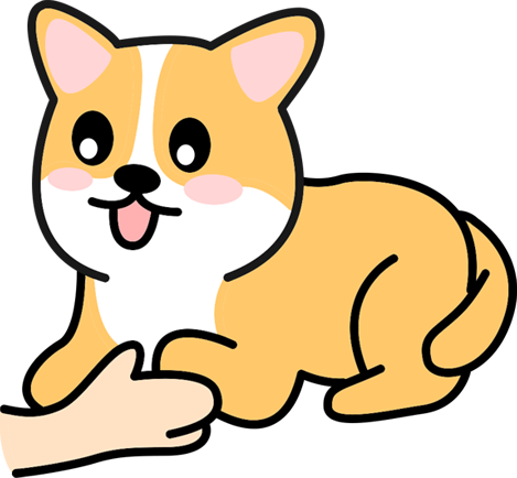 让狗狗知道你很爱它