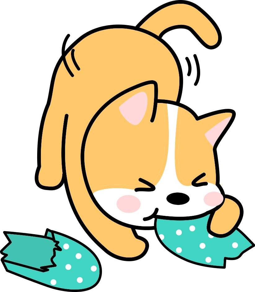 和狗狗增进感情的方法