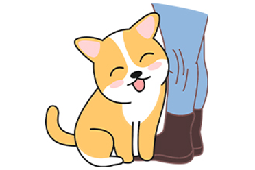 如何让狗狗知道你很爱它？