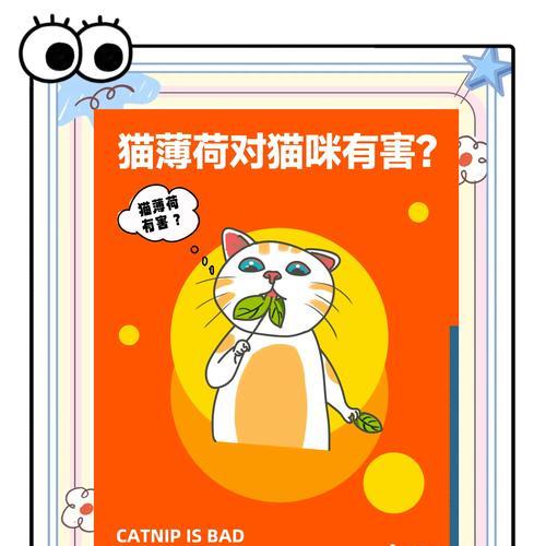 猫的多功能之谜｜猫咪如何改善你的生活