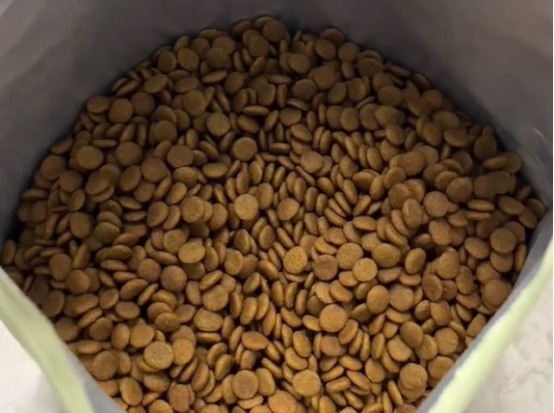 阿飞和巴弟狗粮