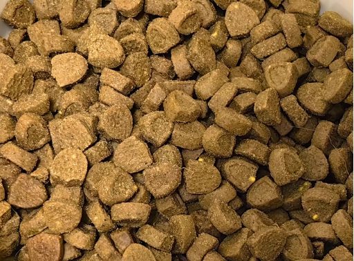 茁悦猫粮怎么样？