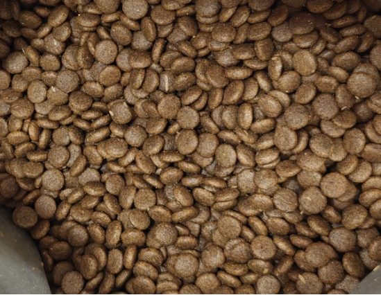 猫小闹猫粮深度测评