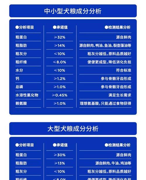 贵宾犬狗粮喂食指南｜不同年龄阶段喂食标准全攻略