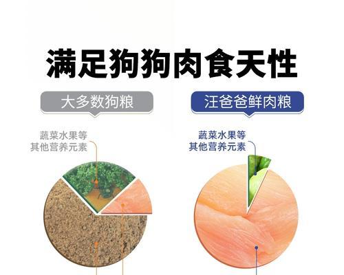 贵宾犬狗粮喂食指南｜不同年龄阶段喂食标准全攻略