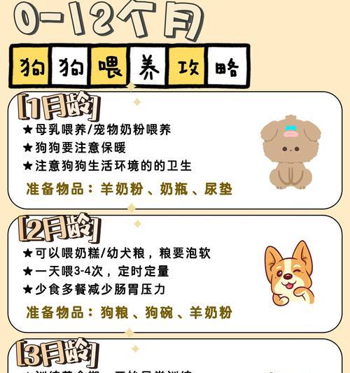 狗狗吃排骨炖需要多久｜实用指南