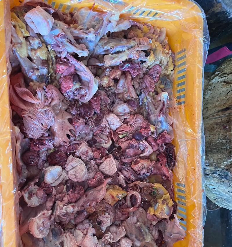 一斤15元狗粮真相揭秘｜宠物健康喂养实用指南