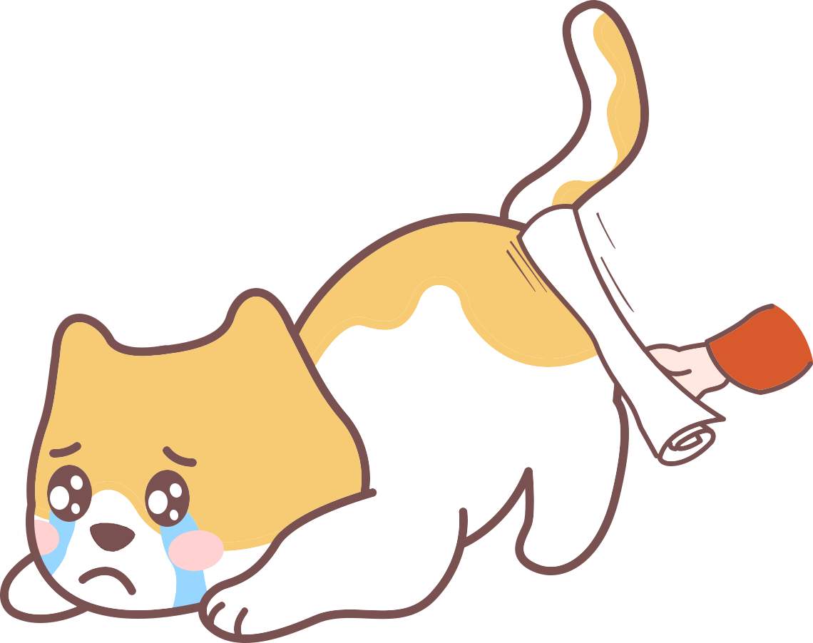 猫咪被打后会记仇吗？养猫必读的真相全攻略