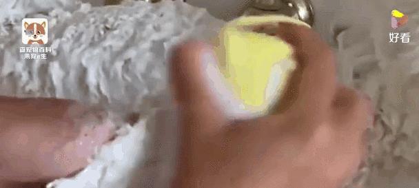 狗打完芯片后洗澡最佳时间|科学护理全攻略 狗打完芯片后洗澡最佳时间|科学护理全攻略