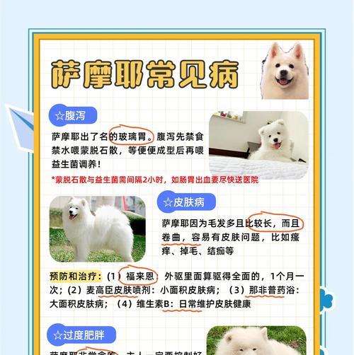 月经周期与经期长度全攻略｜女性健康必备知识