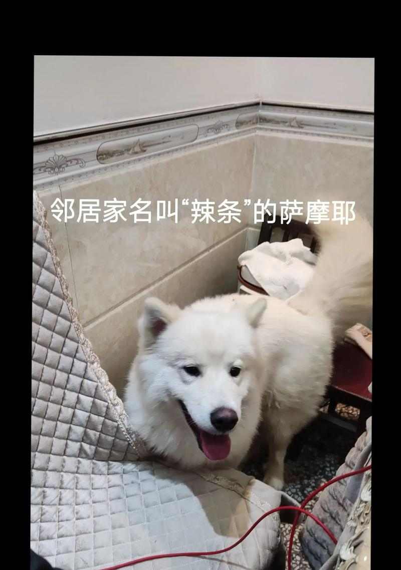 月经周期与经期长度全攻略｜女性健康必备知识