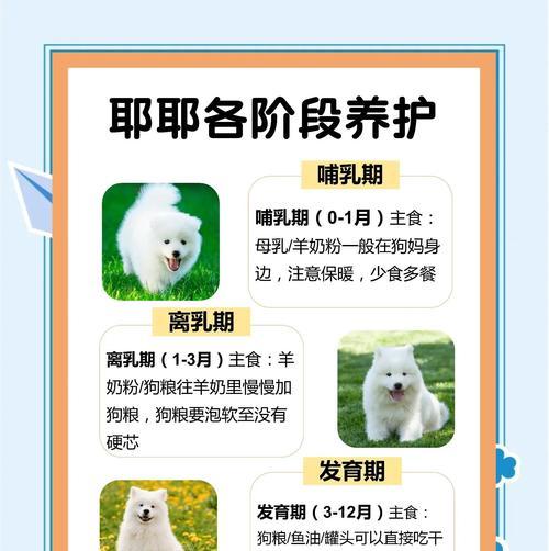 月经周期与经期长度全攻略｜女性健康必备知识