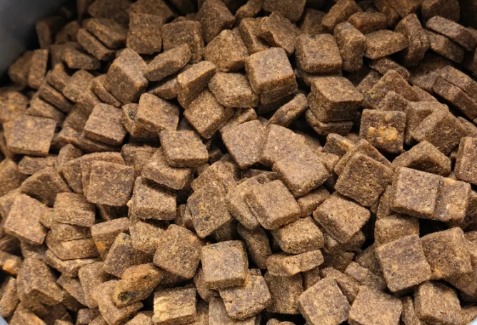 鲜粮说狗粮测评