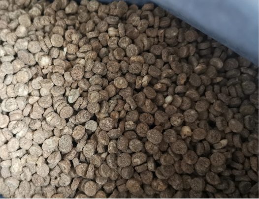 喵彩真鲜肉烘焙猫粮测评|全面解析营养与适口性 喵彩猫粮怎么样?