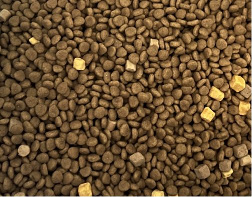 好主人鸭肉梨冻干四拼狗粮怎么样|实用测评全攻略 好主人狗粮测评